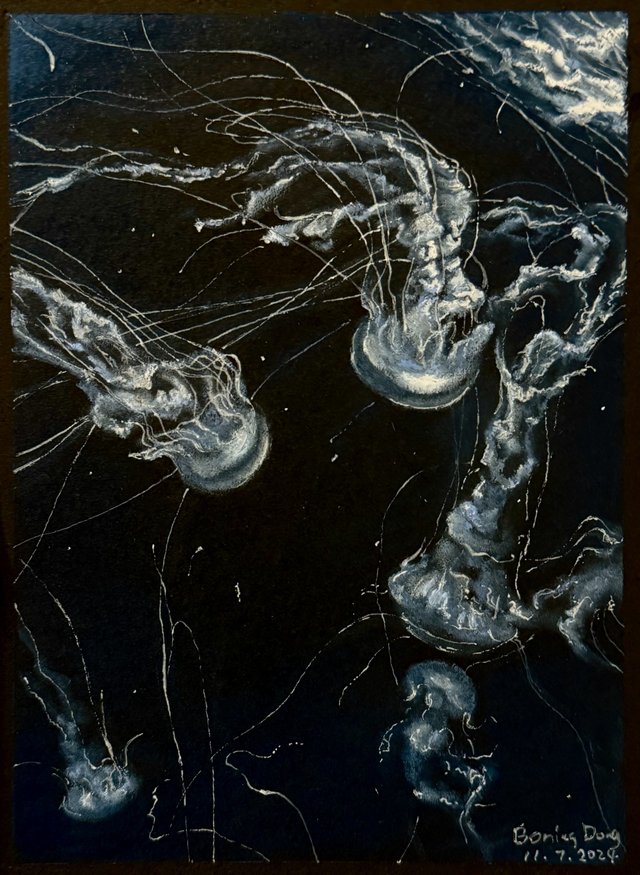 Jellyfish