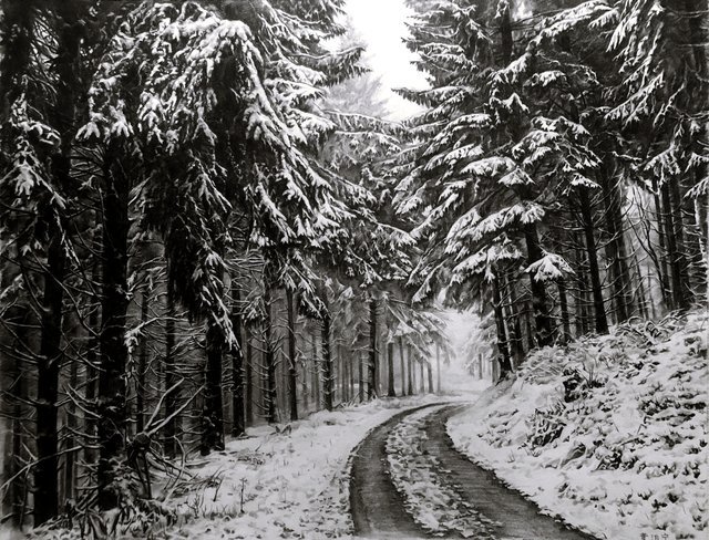 Snow Scene