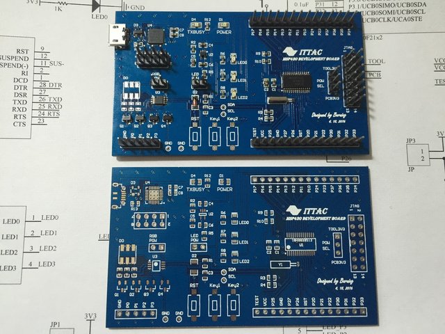 MSP430 Development Board